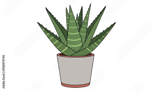 aloe vera plant in modern minimalist pot, flat botanical vector illustration, clean lines, solid colors, isolated on white background, centered, single layer vector adobe stock