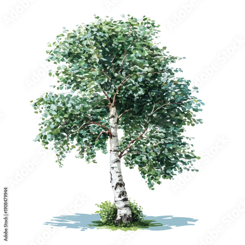 Foto Isometric-style watercolor depiction of Silver Birch Tree, set against a white background