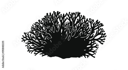 Intricate black coral illustration against a clean white background