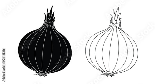 Two onions depicted in contrasting black and white line art styles