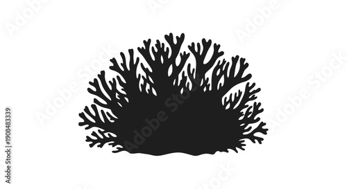 A black silhouette of branching coral against a white background