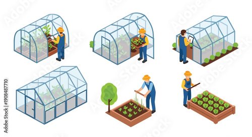Isometric illustration of people gardening inside and around greenhouses