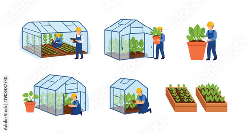 People gardening and tending to plants inside and around greenhouses