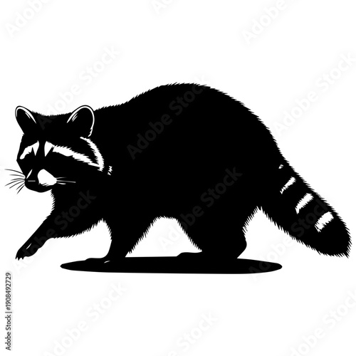 Raccoon Silhouette Vector Icon Black and White, Woodland Creature Simple