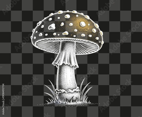 Poisonous Mushroom Fly Agaric Engraving Illustration With Gold Dot Shading Details Black White