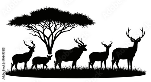 Silhouette of African Safari Animals Including Antelopes and Deer with an Acacia Tree in the Savanna Landscape