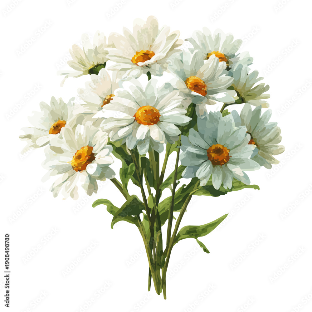 Fototapeta premium Isometric watercolor graphic of Daisy Bouquet, neatly isolated on white background.