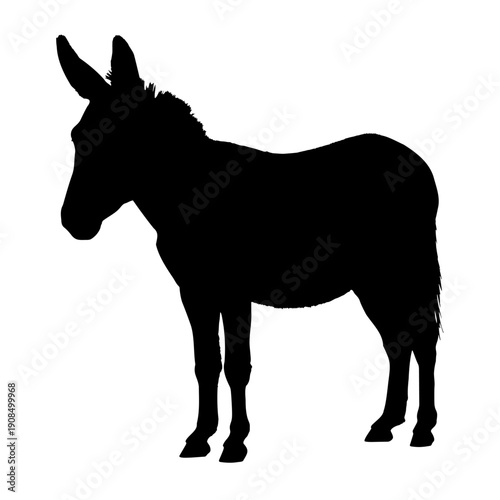 A donkey silhouette standing side view with elegant lines 