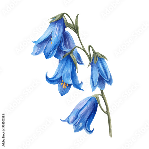 Isometric-style watercolor depiction of Bluebell, set against a white background.