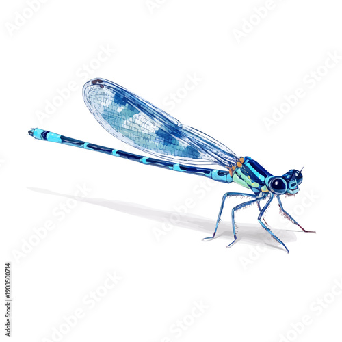 Isometric watercolor rendering of Damselfly, isolated on a clean white background.
