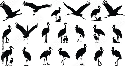 Crane bird silhouette vector, flying crane illustration, wildlife icon set, nature design element, bird flock graphic, animal silhouette collection