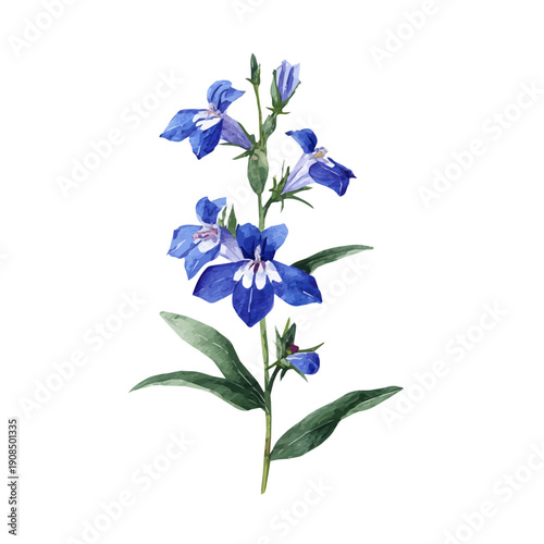 Artistic isometric watercolor image of Lobelia Flower, isolated on a white surface.