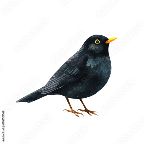 Artistic isometric watercolor image of Blackbird, isolated on a white surface.