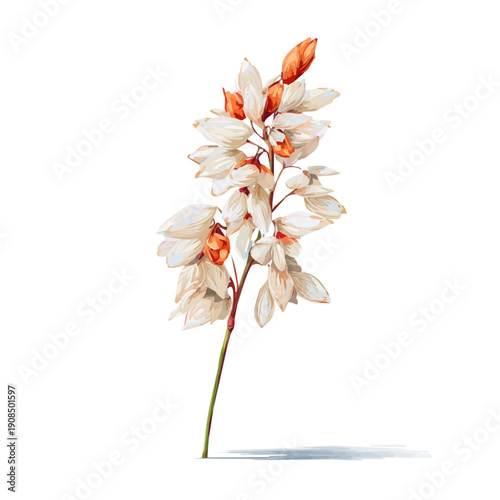 Isometric watercolor graphic of Rice Flower, neatly isolated on white background.