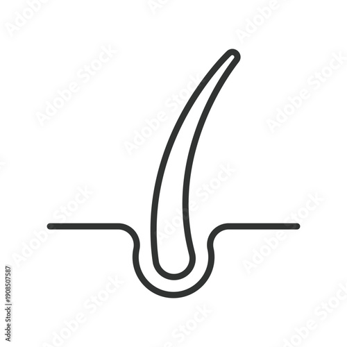 Hair follicle icon in line design. skin and hair structure on white background vector. follicle editable stroke icon