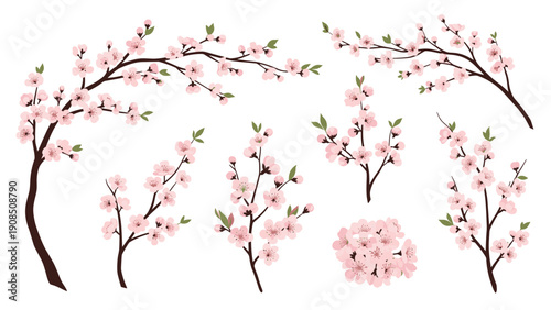 Beautiful collection of pink cherry blossom branches and individual flowers, depicting the delicate beauty of spring, nature, and Japanese cultural symbolism.