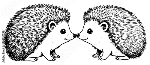 Hedgehog couple in love touching noses cute black and white line art vector illustration