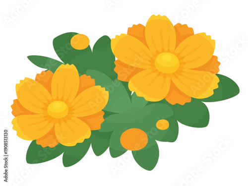 かわいいキバナコスモスのイラスト素材