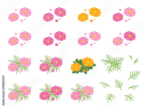 かわいいコスモスとキバナコスモスのイラスト素材セット