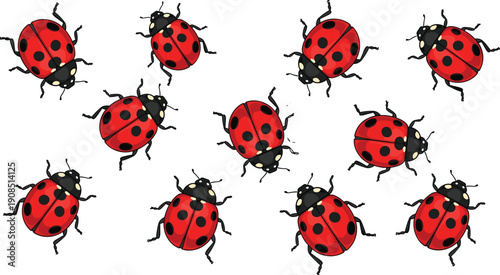 Red ladybug beetle pattern illustration featuring multiple small spotted insects scattered across a white background for spring garden nature design and vector backgrounds