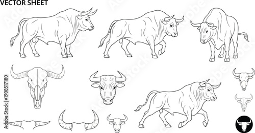 Vector illustration sheet featuring a bull in various poses, heads, and skulls, useful for design elements and graphic creation.