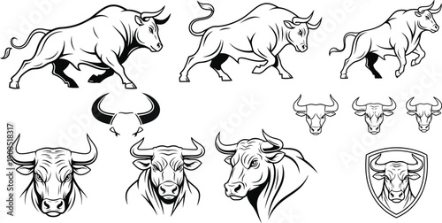 Set of bull graphics including full body illustrations in motion, heads, horns, and a shield emblem, offering versatile elements for strong branding.