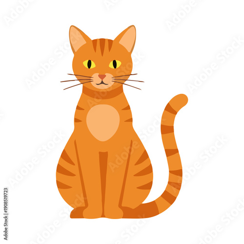 Orange tabby cat sitting illustration isolated on white background