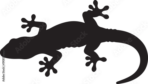  Gecko Silhouette