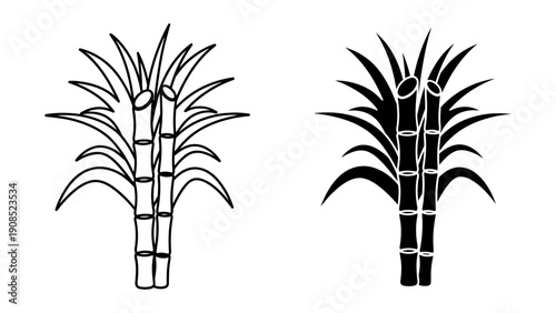 Sugarcane plant icons isolated on white background in outline and silhouette styles