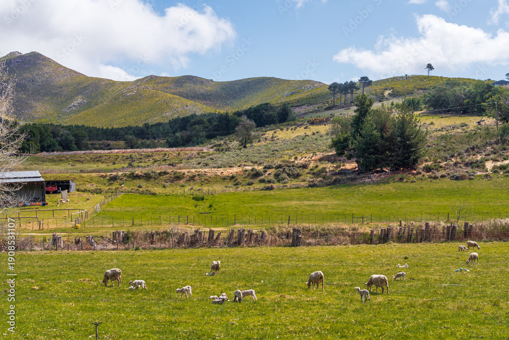 Obraz premium Scenic landscape of the Outeniqua Mountains and Pass between George and Oudtshoorn, Western Cape, South Africa 