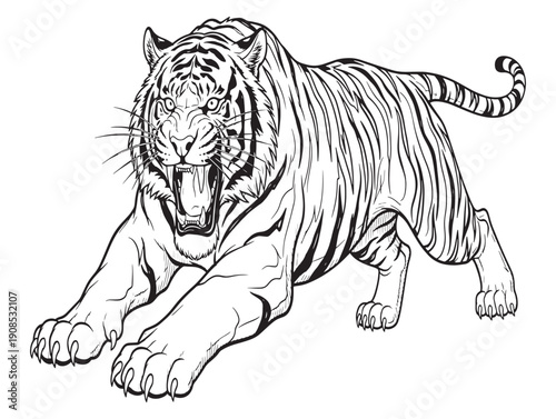 A black and white illustration of a tiger in a powerful crouching position