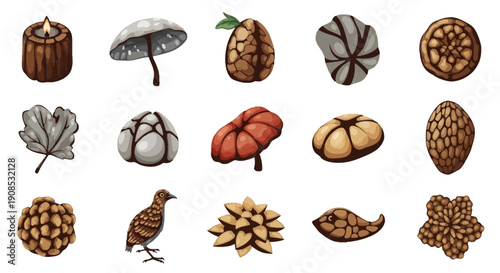 An assortment of detailed botanical and natural element illustrations featuring fungi seeds and woodland creatures high quality professional modern