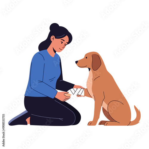 Woman bandaging dog's paw, pet care, first aid, animal health, vet clinic, love
