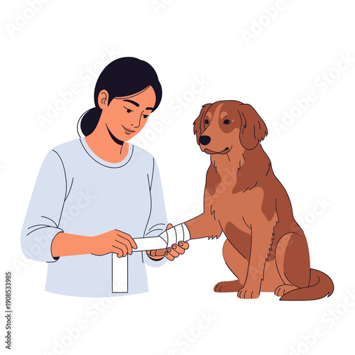 Veterinarian bandaging injured paw of a golden retriever dog in clinic