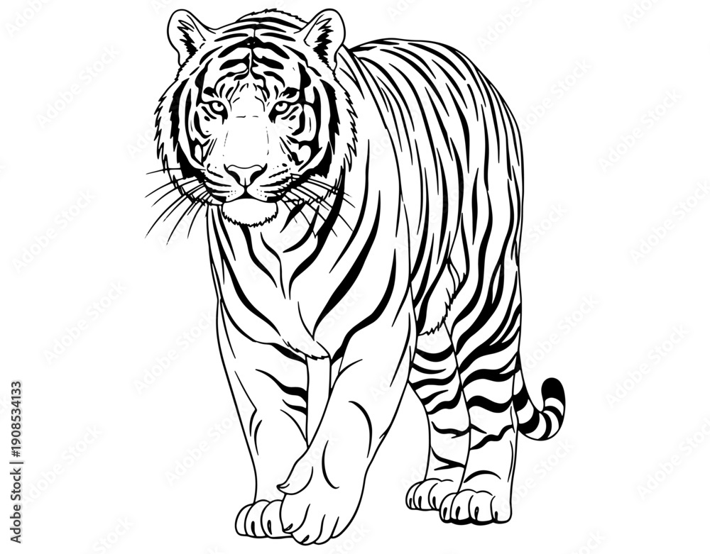 Obraz premium Graceful tiger walking in a natural, serene environment with striking black stripes.