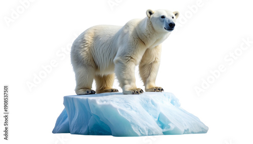 Wallpaper Mural A majestic polar bear standing proudly on a melting iceberg in the Arctic. This powerful image of wildlife symbolizes climate change and nature's fragility, isolated on a transparent background. Torontodigital.ca