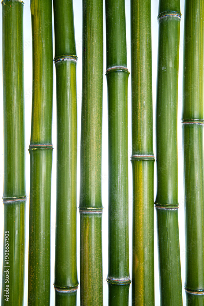 Fototapeta premium Green Bamboo Stalks Close-Up on White Background