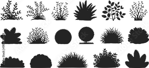 Bush and shrub silhouettes illustration with rounded, spiky, dense foliage patterns, black and white artwork, botanical, landscape, nature design concept
