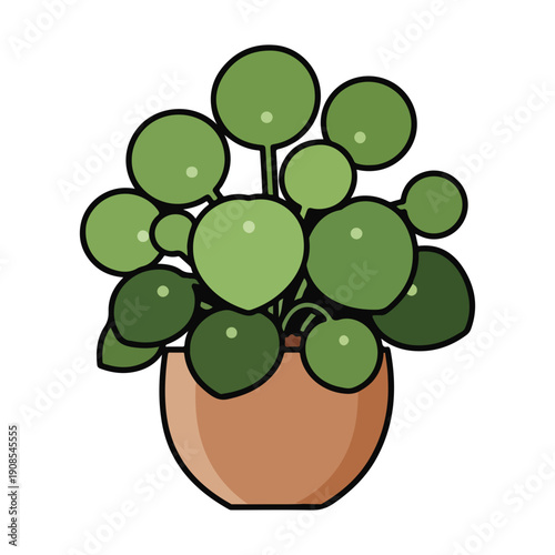 Pilea Peperomioides Houseplant Illustration in Brown Pot