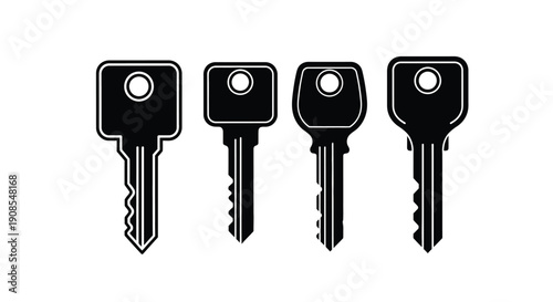 Four different keys displayed in a black silhouette