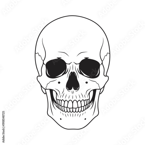 Minimalist human skull line art front view — anatomy horror gothic icon vector

