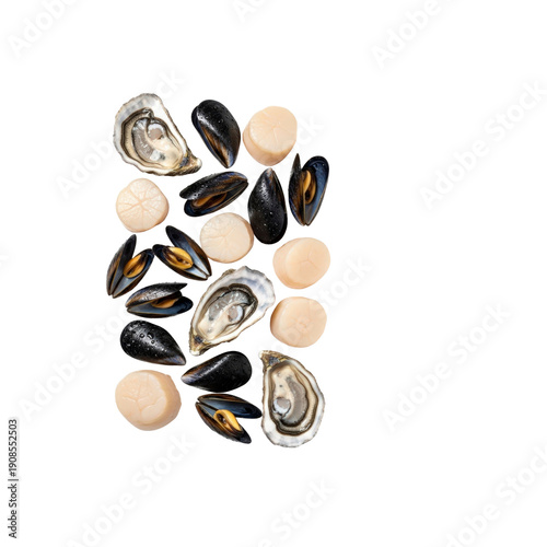 Assortment of fresh oysters mussels and scallops