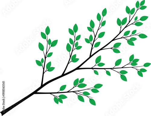 Green leaves branch vector illustration nature botanical plant twig foliage isolated design element for eco spring garden decoration use