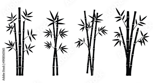 Black bamboo stalks and leaves create a striking design silhouette