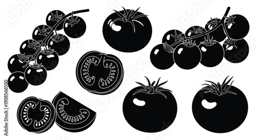 Black and white tomato illustrations with varying views a striking silhouette