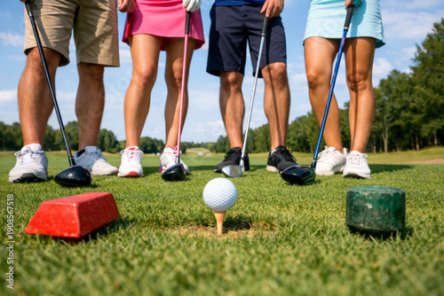 Golfers holding golf clubs and standing by a golf ball on a tee, preparing to drive on a green course under a sunny sky, enjoying a leisure sports activity