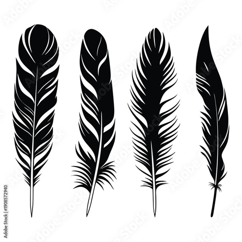 Four Black Feather Silhouettes Isolated on White Background. Detailed Elegant Design