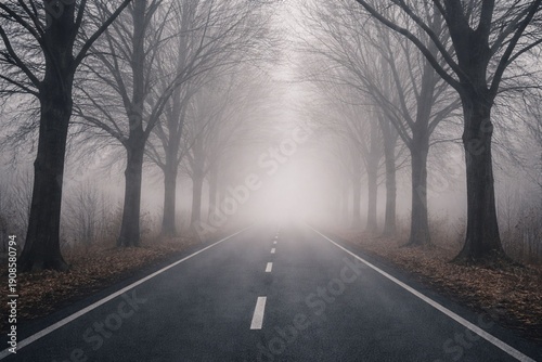 Moody Foggy Road with Bare Trees and Heavy Mist, Empty Asphalt Highway Disappearing into Fog, Uncertainty and Emotional Journey Concept, Dramatic Landscape Background with Copy Space