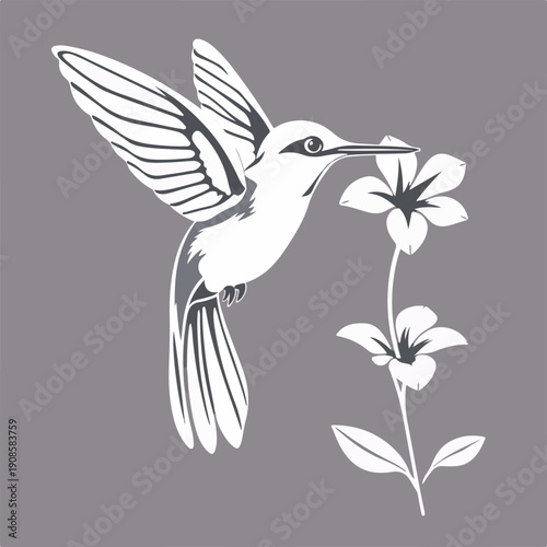 Elegant Hummingbird and Flower Vector Silhouette Art