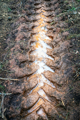 Wallpaper Mural Tire tracks in the forest, on muddy terrain. Offroad. Torontodigital.ca